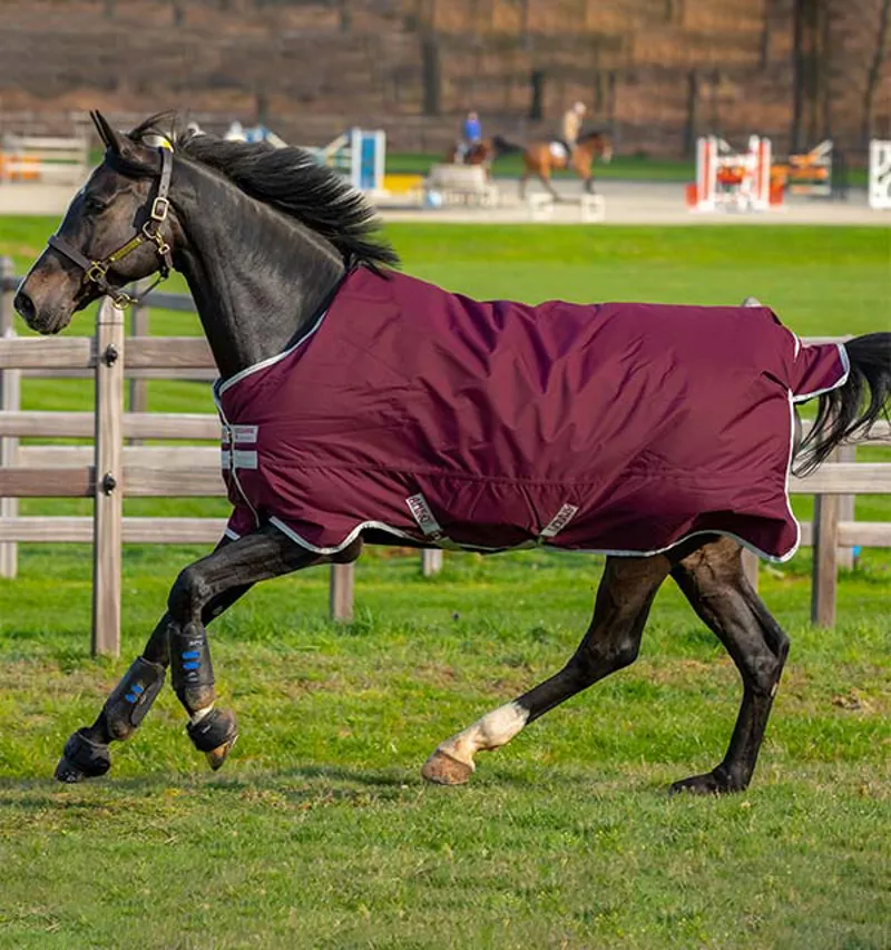 Amigo Hero 600D Ripstop 50g Turnout Rug in Fig 